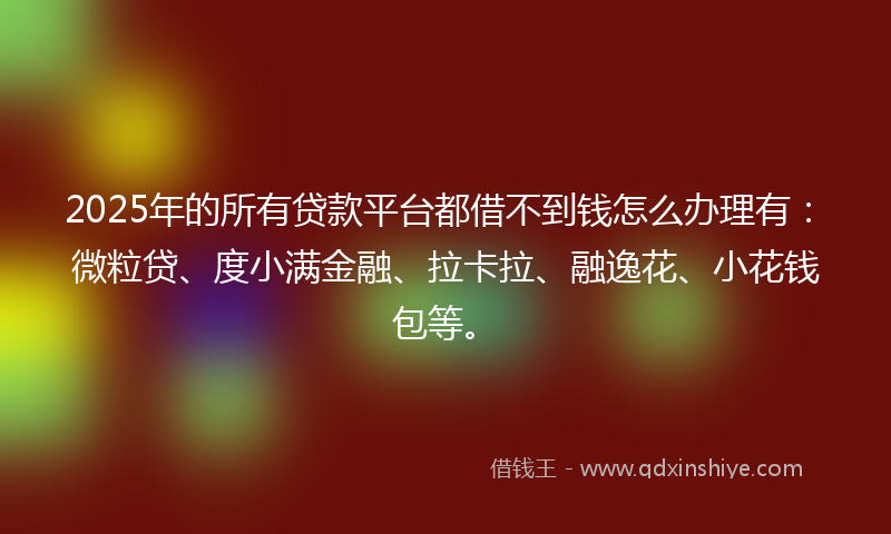 2025年的所有贷款平台都借不到钱怎么办理有：微粒贷、度小满金融、拉卡拉、融逸花、小花钱包等。