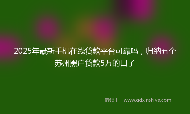 2025年最新手机在线贷款平台可靠吗，归纳五个苏州黑户贷款5万的口子