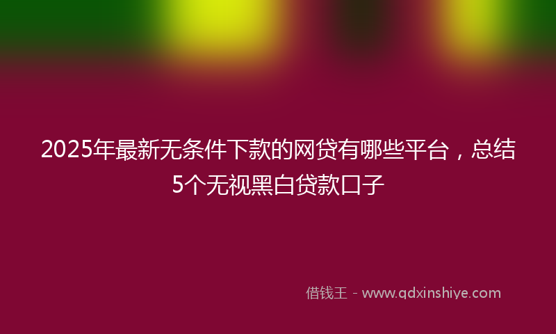 2025年最新无条件下款的网贷有哪些平台，总结5个无视黑白贷款口子