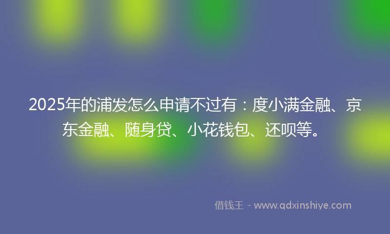 2025年的浦发怎么申请不过有：度小满金融、京东金融、随身贷、小花钱包、还呗等。