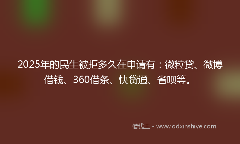 2025年的民生被拒多久在申请有：微粒贷、微博借钱、360借条、快贷通、省呗等。