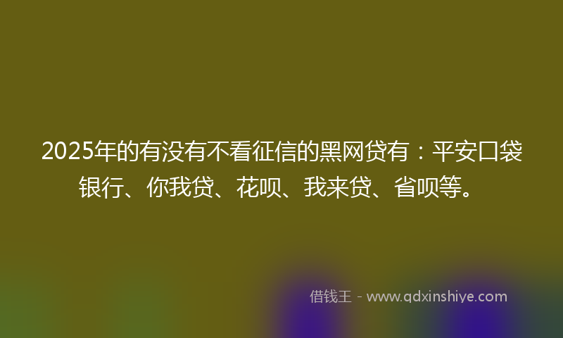 2025年的有没有不看征信的黑网贷有：平安口袋银行、你我贷、花呗、我来贷、省呗等。
