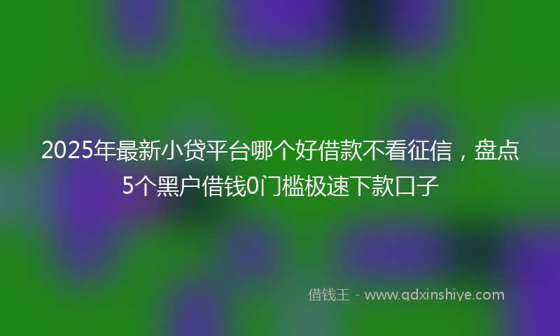 2025年最新小贷平台哪个好借款不看征信，盘点5个黑户借钱0门槛极速下款口子