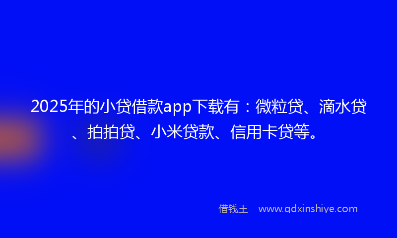 2025年的小贷借款app下载有：微粒贷、滴水贷、拍拍贷、小米贷款、信用卡贷等。