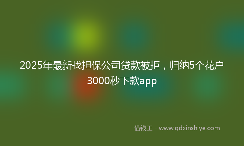 2025年最新找担保公司贷款被拒，归纳5个花户3000秒下款app