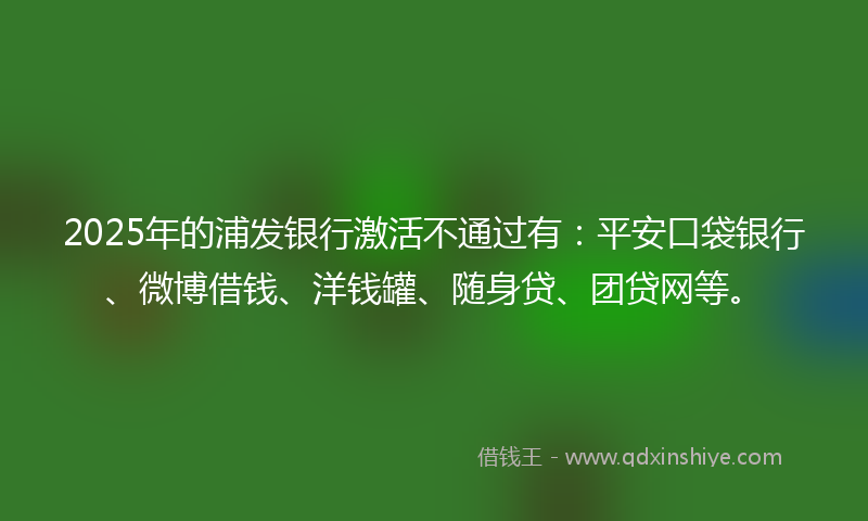 2025年的浦发银行激活不通过有：平安口袋银行、微博借钱、洋钱罐、随身贷、团贷网等。