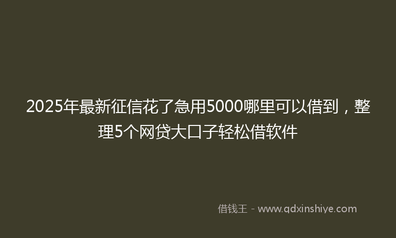 2025年最新征信花了急用5000哪里可以借到，整理5个网贷大口子轻松借软件