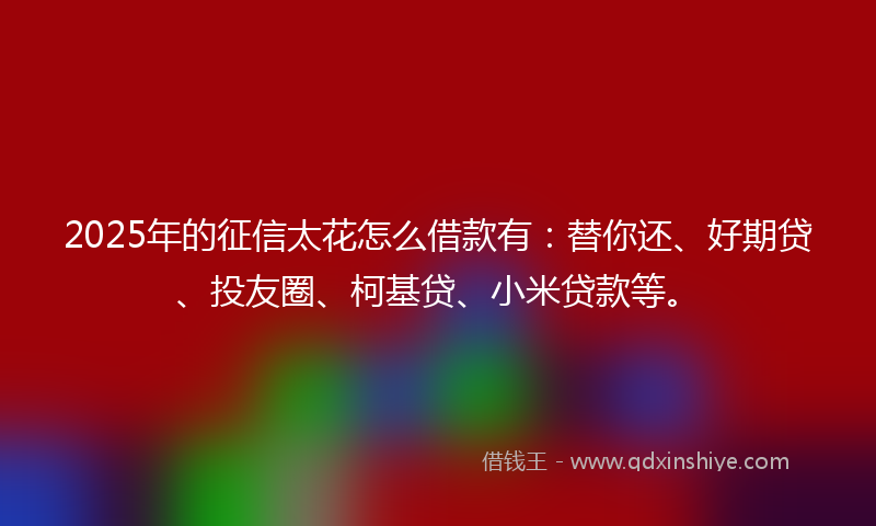 2025年的征信太花怎么借款有：替你还、好期贷、投友圈、柯基贷、小米贷款等。