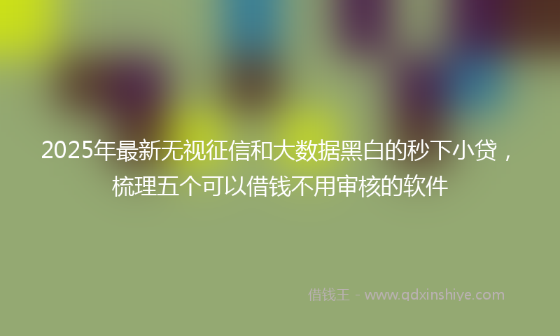 2025年最新无视征信和大数据黑白的秒下小贷，梳理五个可以借钱不用审核的软件