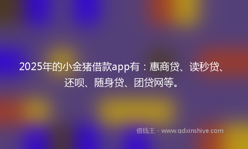 2025年的小金猪借款app有：惠商贷、读秒贷、还呗、随身贷、团贷网等。