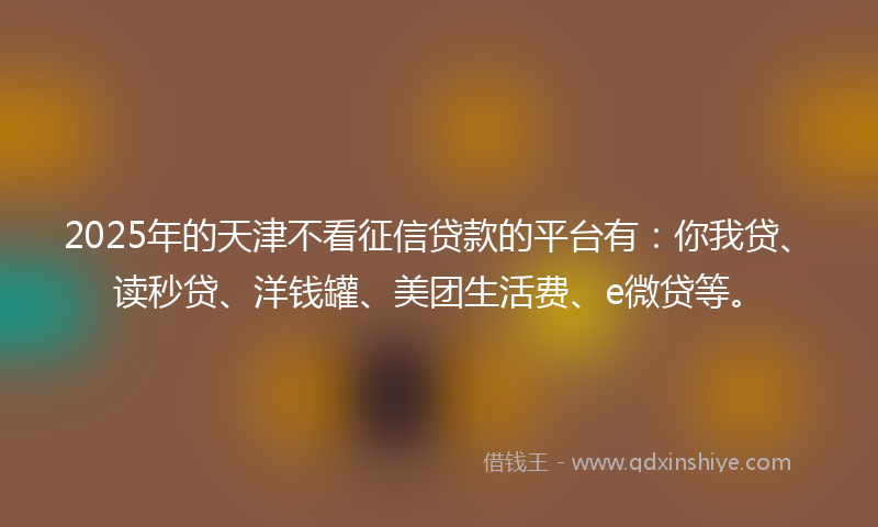 2025年的天津不看征信贷款的平台有：你我贷、读秒贷、洋钱罐、美团生活费、e微贷等。