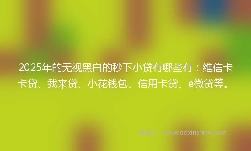 2025年的无视黑白的秒下小贷有哪些有：维信卡卡贷、我来贷、小花钱包、信用卡贷、e微贷等。