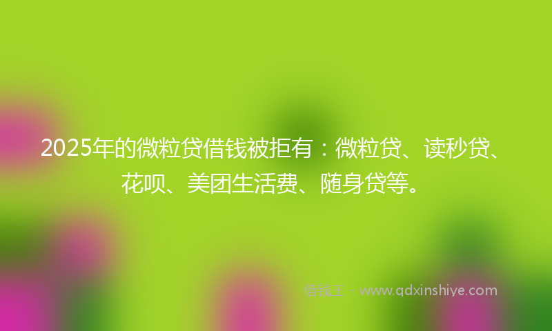 2025年的微粒贷借钱被拒有：微粒贷、读秒贷、花呗、美团生活费、随身贷等。