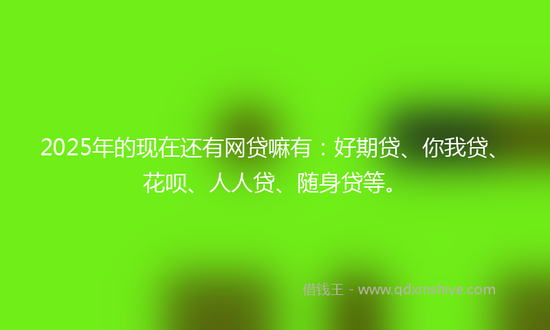 2025年的现在还有网贷嘛有：好期贷、你我贷、花呗、人人贷、随身贷等。