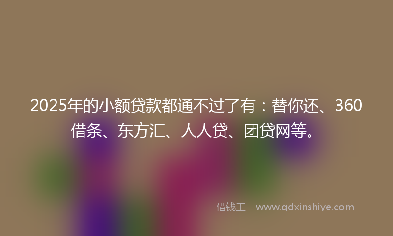 2025年的小额贷款都通不过了有：替你还、360借条、东方汇、人人贷、团贷网等。