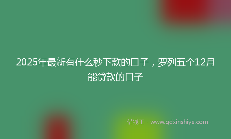 2025年最新有什么秒下款的口子，罗列五个12月能贷款的口子