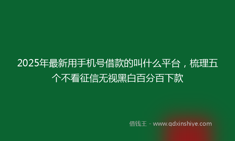 2025年最新用手机号借款的叫什么平台，梳理五个不看征信无视黑白百分百下款