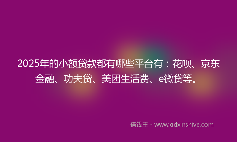 2025年的小额贷款都有哪些平台有：花呗、京东金融、功夫贷、美团生活费、e微贷等。