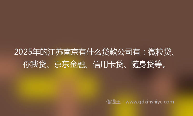 2025年的江苏南京有什么贷款公司有：微粒贷、你我贷、京东金融、信用卡贷、随身贷等。