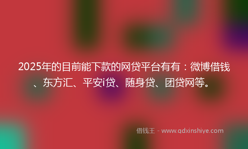 2025年的目前能下款的网贷平台有有：微博借钱、东方汇、平安i贷、随身贷、团贷网等。