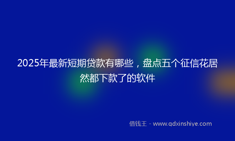 2025年最新短期贷款有哪些，盘点五个征信花居然都下款了的软件