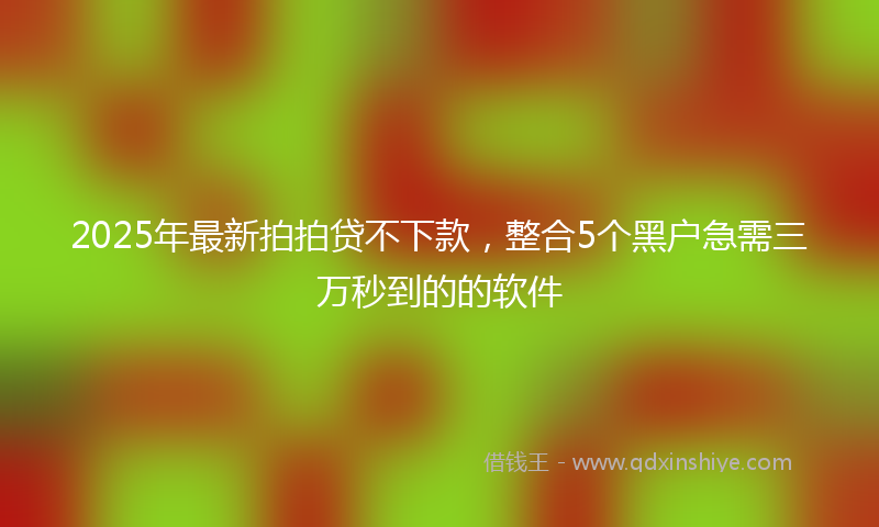 2025年最新拍拍贷不下款，整合5个黑户急需三万秒到的的软件