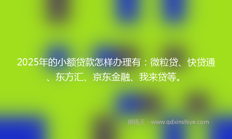 2025年的小额贷款怎样办理有：微粒贷、快贷通、东方汇、京东金融、我来贷等。