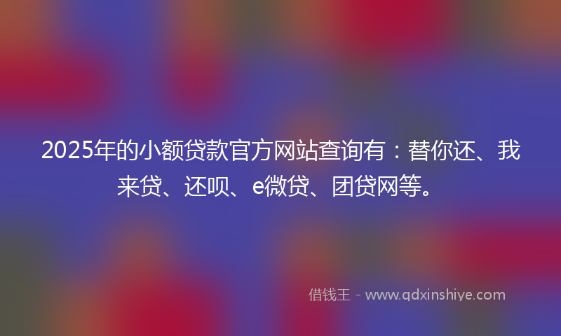 2025年的小额贷款官方网站查询有：替你还、我来贷、还呗、e微贷、团贷网等。