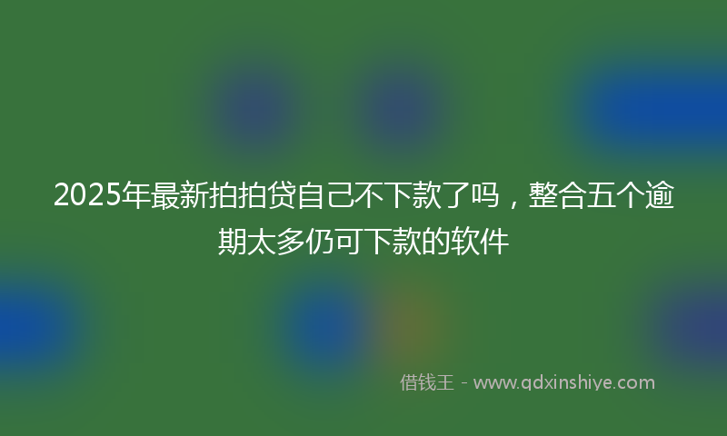2025年最新拍拍贷自己不下款了吗，整合五个逾期太多仍可下款的软件