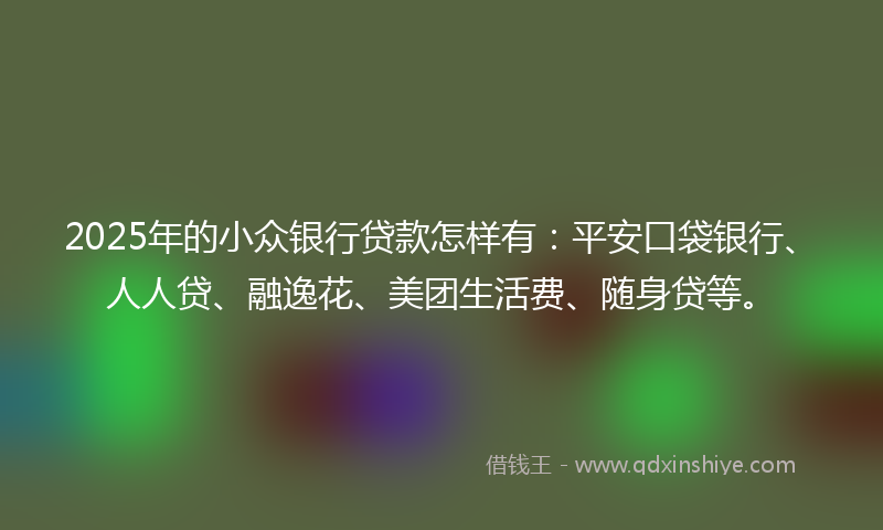 2025年的小众银行贷款怎样有：平安口袋银行、人人贷、融逸花、美团生活费、随身贷等。