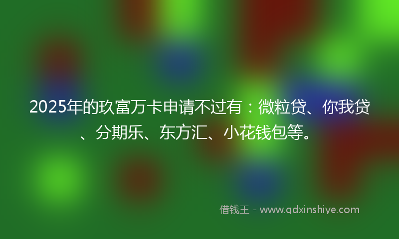 2025年的玖富万卡申请不过有：微粒贷、你我贷、分期乐、东方汇、小花钱包等。