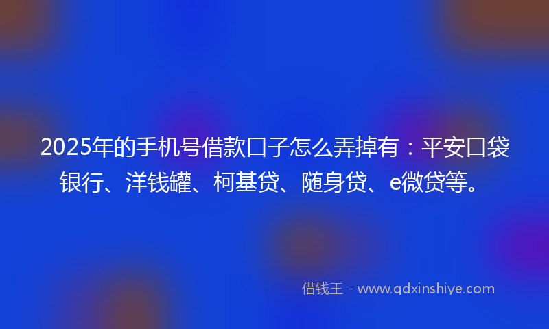 2025年的手机号借款口子怎么弄掉有：平安口袋银行、洋钱罐、柯基贷、随身贷、e微贷等。