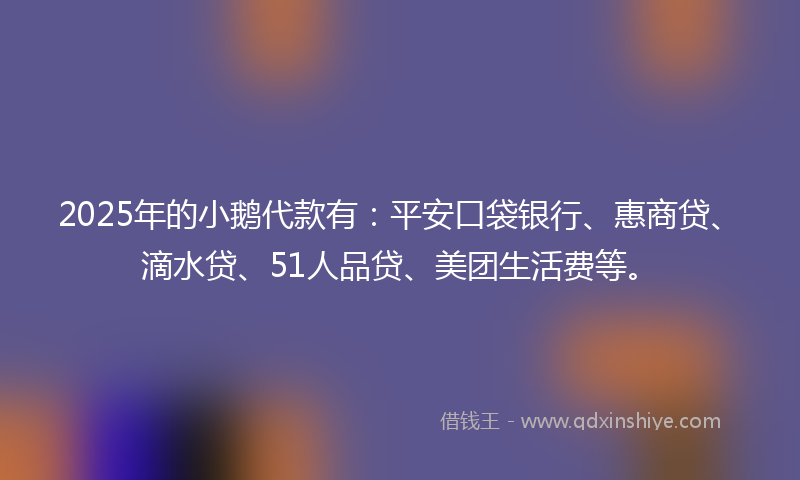 2025年的小鹅代款有：平安口袋银行、惠商贷、滴水贷、51人品贷、美团生活费等。