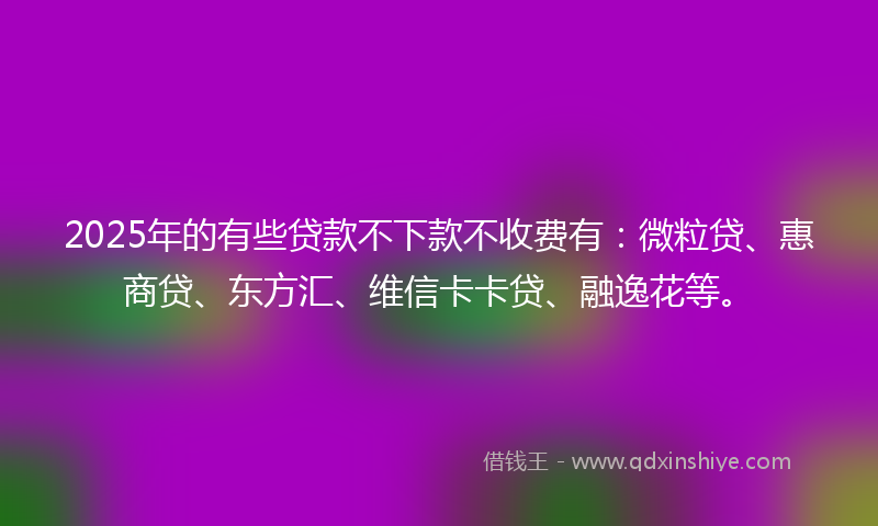 2025年的有些贷款不下款不收费有：微粒贷、惠商贷、东方汇、维信卡卡贷、融逸花等。