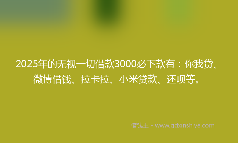 2025年的无视一切借款3000必下款有：你我贷、微博借钱、拉卡拉、小米贷款、还呗等。