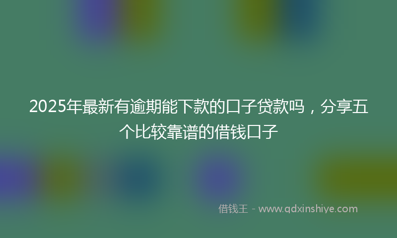 2025年最新有逾期能下款的口子贷款吗，分享五个比较靠谱的借钱口子