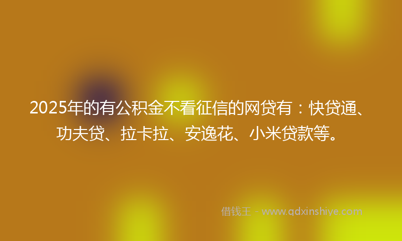 2025年的有公积金不看征信的网贷有：快贷通、功夫贷、拉卡拉、安逸花、小米贷款等。