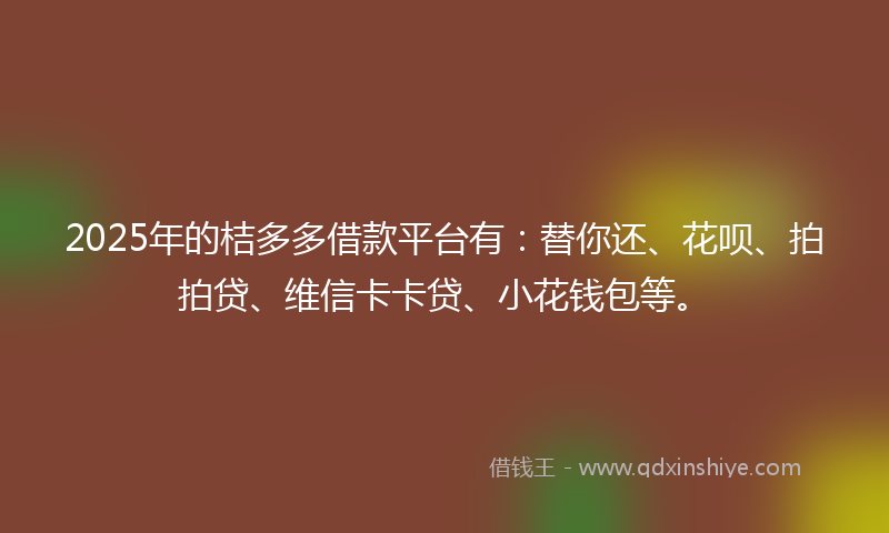 2025年的桔多多借款平台有：替你还、花呗、拍拍贷、维信卡卡贷、小花钱包等。