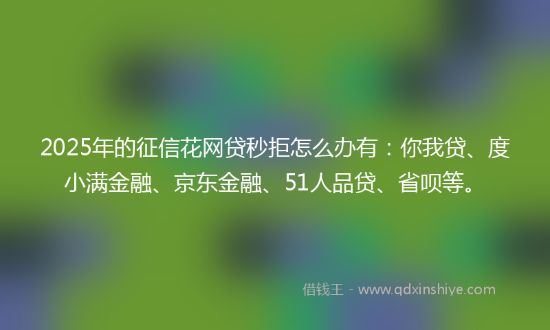 2025年的征信花网贷秒拒怎么办有：你我贷、度小满金融、京东金融、51人品贷、省呗等。
