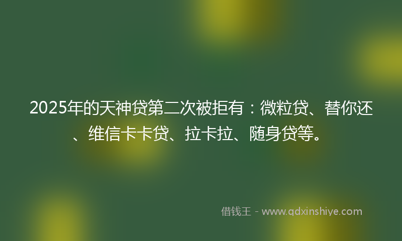 2025年的天神贷第二次被拒有：微粒贷、替你还、维信卡卡贷、拉卡拉、随身贷等。