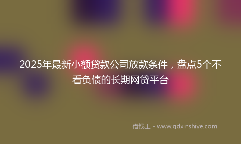 2025年最新小额贷款公司放款条件，盘点5个不看负债的长期网贷平台