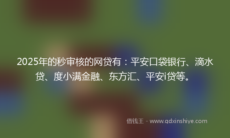2025年的秒审核的网贷有：平安口袋银行、滴水贷、度小满金融、东方汇、平安i贷等。
