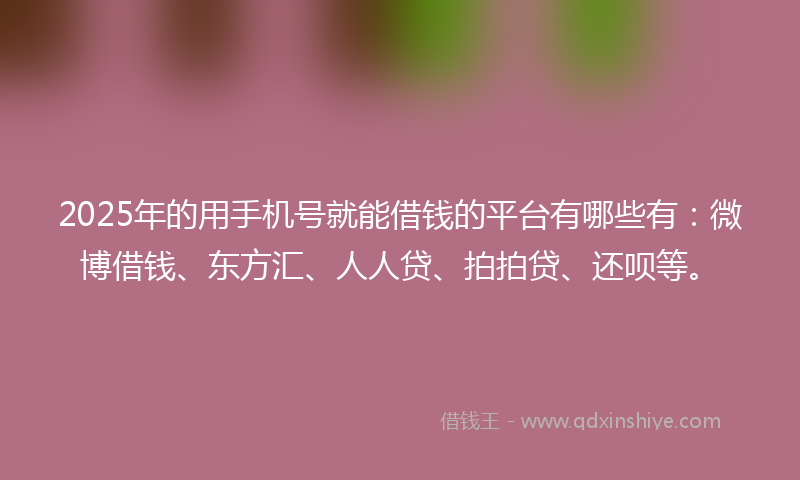 2025年的用手机号就能借钱的平台有哪些有：微博借钱、东方汇、人人贷、拍拍贷、还呗等。