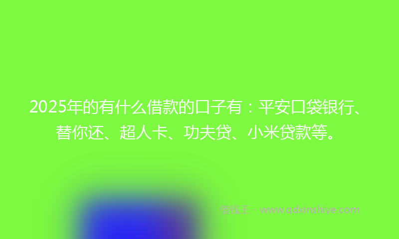 2025年的有什么借款的口子有：平安口袋银行、替你还、超人卡、功夫贷、小米贷款等。