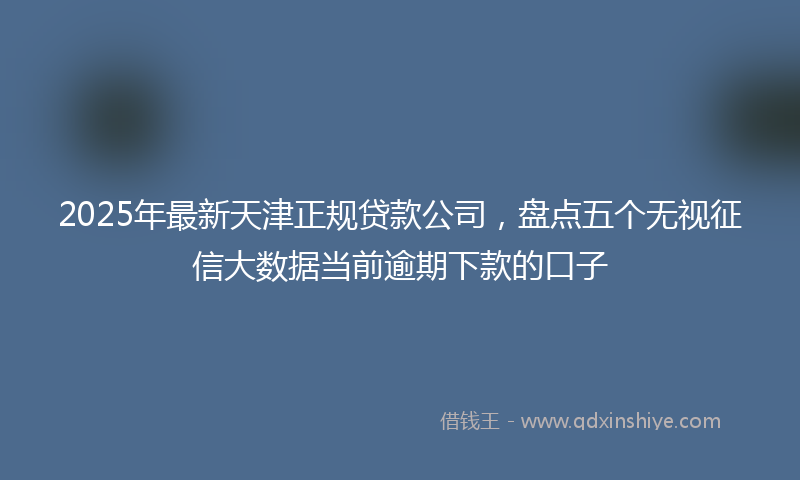 2025年最新天津正规贷款公司，盘点五个无视征信大数据当前逾期下款的口子