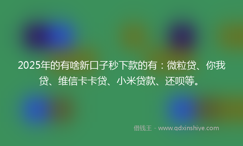 2025年的有啥新口子秒下款的有：微粒贷、你我贷、维信卡卡贷、小米贷款、还呗等。