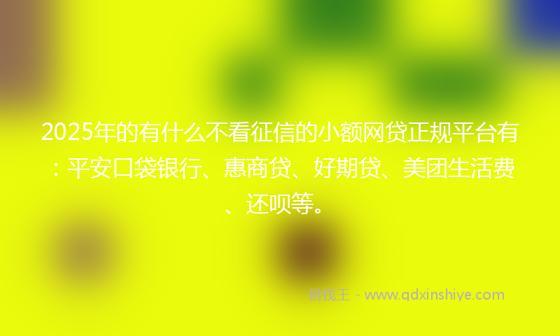 2025年的有什么不看征信的小额网贷正规平台有：平安口袋银行、惠商贷、好期贷、美团生活费、还呗等。
