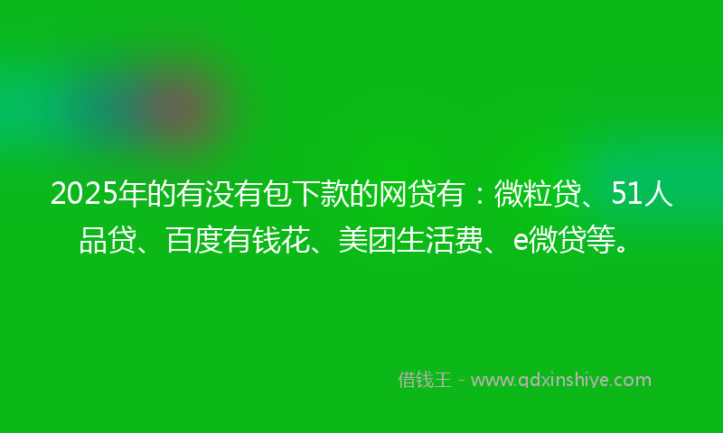 2025年的有没有包下款的网贷有：微粒贷、51人品贷、百度有钱花、美团生活费、e微贷等。