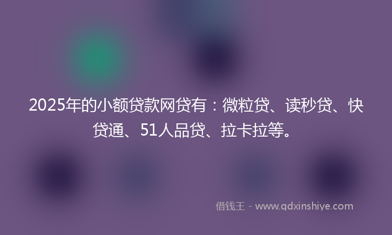 2025年的小额贷款网贷有：微粒贷、读秒贷、快贷通、51人品贷、拉卡拉等。