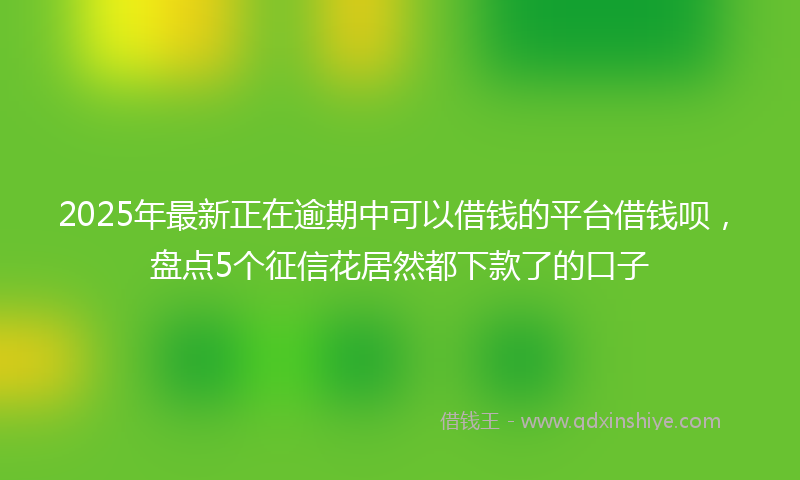 2025年最新正在逾期中可以借钱的平台借钱呗，盘点5个征信花居然都下款了的口子
